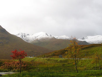Scenic view of snowcapped mountains