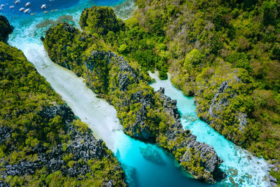 High angle view of trees by sea