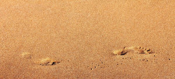 High angle view of footprints on sand