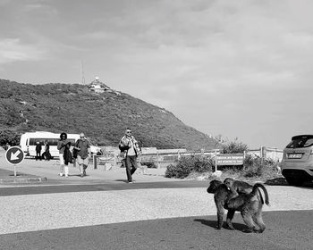 Dog on road against sky