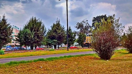 Trees on landscape against cloudy sky