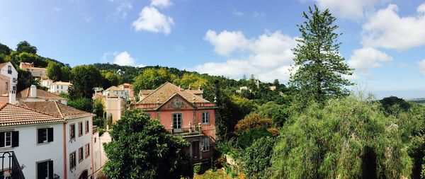 Trees and houses against sky