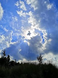 Low angle view of silhouette trees against sky