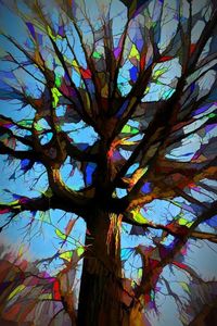Low angle view of tree against clear sky