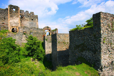 Plants growing at soimos fortress against sky