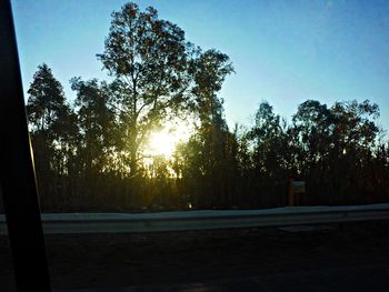 Sunlight streaming through trees on field against sky during sunset