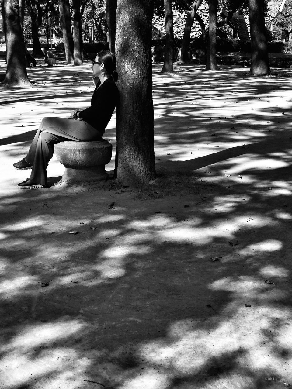 real people, shadow, men, street, lifestyles, outdoors, sitting, one person, day, tree, nature, people, adult