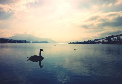 Scenic view of lake at sunset