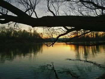 Silhouette bare tree by lake against sky during sunset