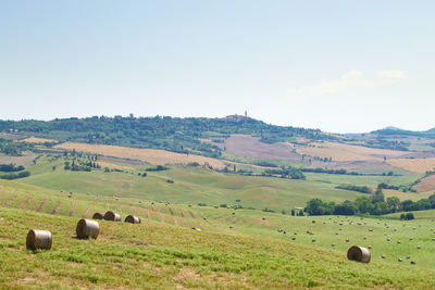 Hay bales on field against sky