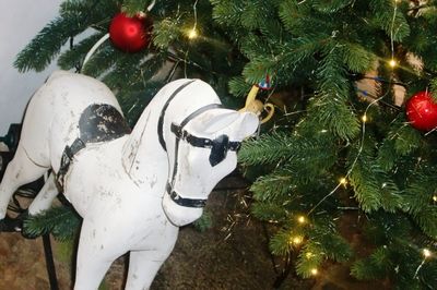 Close-up of christmas decorations on tree at night