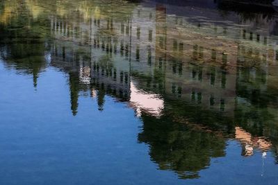 Reflection of trees in lake