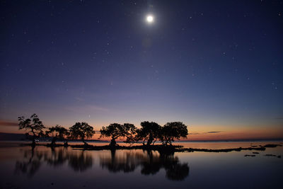 Reflection of trees in lake against sky at night