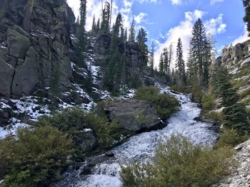 Stream flowing through rocks in forest against sky