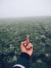 Cropped image of hand showing obscene gesture over agricultural field during foggy weather