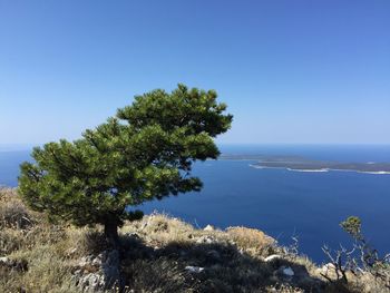 Scenic view of sea against clear blue sky