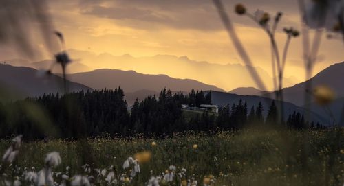 Panoramic view of landscape against sky during sunset