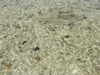 High angle view of a beach