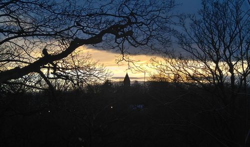 Silhouette of tree against sky during sunset