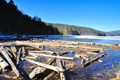 Scenic view of lake against blue sky during winter