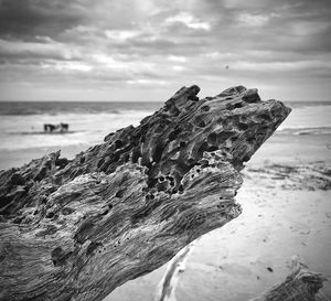 Close-up of driftwood on beach