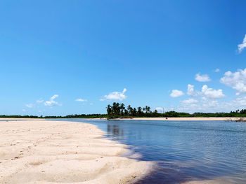 Scenic view of beach against blue sky