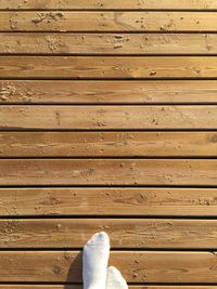 Low section of person on wooden plank