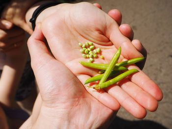 Close-up of hand holding vegetables