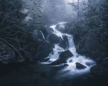 Stream flowing through rocks in forest