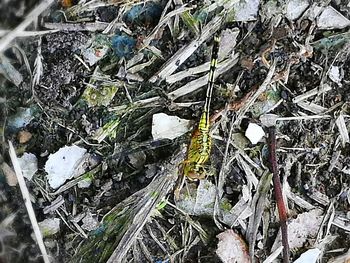 High angle view of garbage