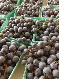 Close-up of grapes