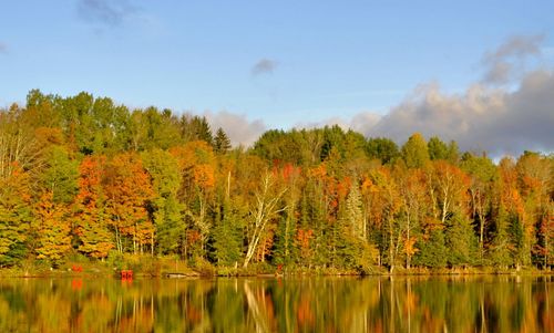 Scenic view of lake by trees against sky