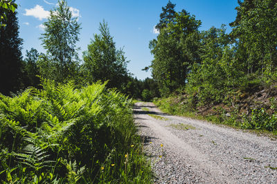 Scenic view of winding country road