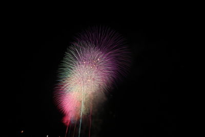 Low angle view of firework display at night