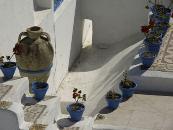 High angle view of potted plants by wall