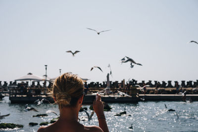 Rear view of woman photographing seagulls