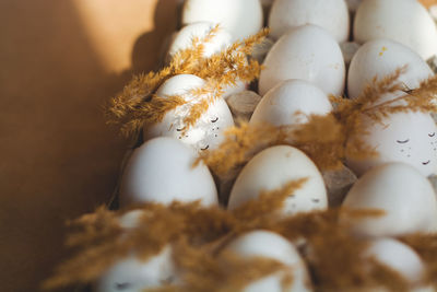 Close-up of vegetables in basket