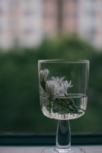 Close-up of glass vase on table