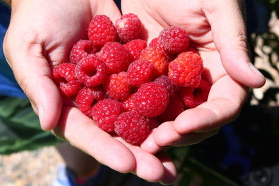 Cropped image of woman holding strawberry