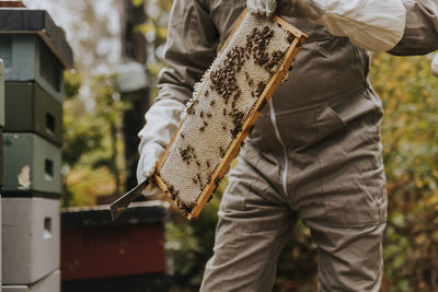 Beekeeper holding hive frame