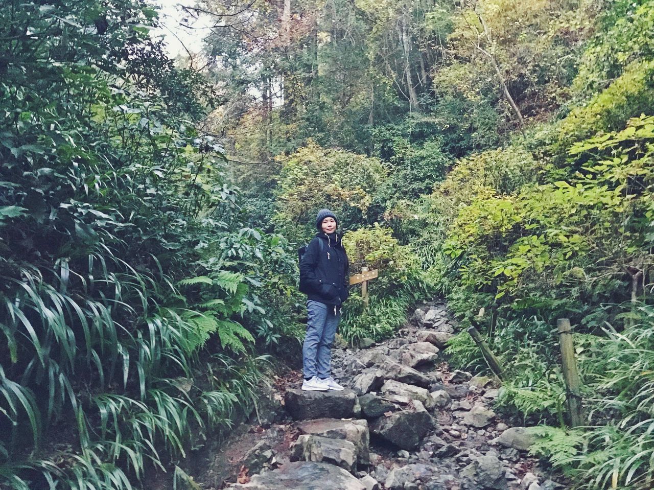 MAN STANDING AMIDST TREES AND PLANTS IN FOREST