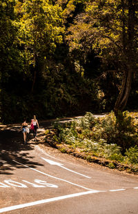 People riding motorcycle on road against trees