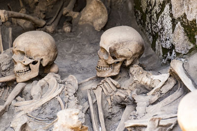 Low angle view of human skull in cemetery