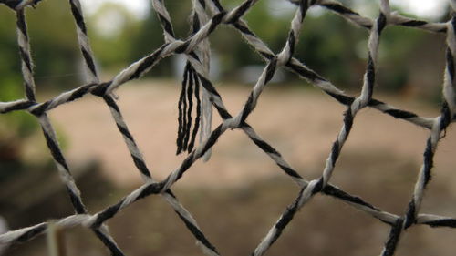 Close-up of chainlink fence