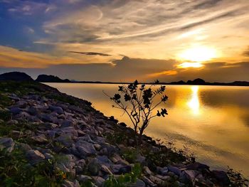 Scenic view of calm lake at sunset