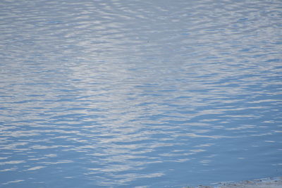 Full frame shot of rippled water