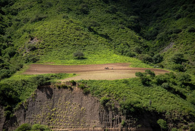 Scene of a farmer working his land to sow