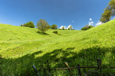 Flowering hills in spring on the lessini mountains in the province of vicenza veneto italy