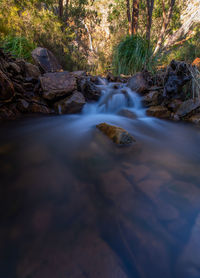 Surface level of stream flowing in forest