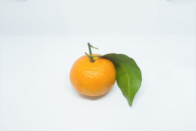 Close-up of orange fruit against white background